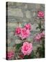 Pink Roses Against Stone Wall, Burgundy, France-Lisa S^ Engelbrecht-Stretched Canvas