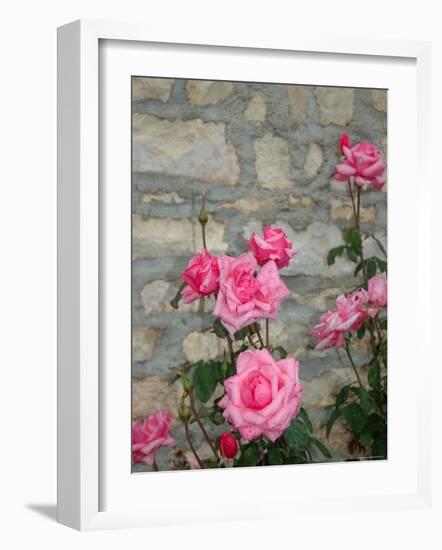 Pink Roses Against Stone Wall, Burgundy, France-Lisa S^ Engelbrecht-Framed Photographic Print