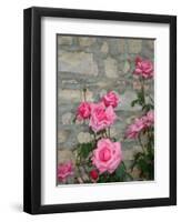 Pink Roses Against Stone Wall, Burgundy, France-Lisa S^ Engelbrecht-Framed Premium Photographic Print