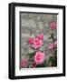 Pink Roses Against Stone Wall, Burgundy, France-Lisa S^ Engelbrecht-Framed Premium Photographic Print