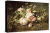 Pink Roses and Daisies-Adriana-johanna Haanen-Stretched Canvas