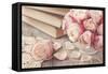 Pink Roses and Old Books on Wooden Desk-egal-Framed Stretched Canvas