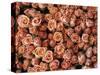 Pink Roses at Albert Kuyp Market-Owen Franken-Stretched Canvas