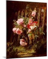 Pink Roses by a Garden Fence-Alfred-Frederic Lauron-Mounted Art Print