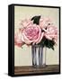 Pink Roses I-Jill Deveraux-Framed Stretched Canvas