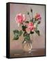 Pink Roses in a Glass Jug-Albert Williams-Framed Stretched Canvas