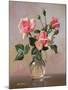 Pink Roses in a Glass Jug-Albert Williams-Mounted Giclee Print