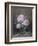 Pink Roses in a Glass Vase-William B. Hough-Framed Giclee Print