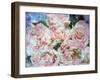 Pink Roses over Pink Rose Blossoms with Texture-Alaya Gadeh-Framed Photographic Print