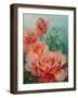 Pink Roses, Prima Ballerina-Karen Armitage-Framed Giclee Print