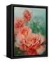 Pink Roses, Prima Ballerina-Karen Armitage-Framed Stretched Canvas