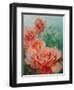 Pink Roses, Prima Ballerina-Karen Armitage-Framed Giclee Print