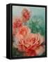 Pink Roses, Prima Ballerina-Karen Armitage-Framed Stretched Canvas