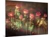 Pink Roses with Textures and Floral Ornaments-Alaya Gadeh-Mounted Photographic Print