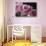 Pink Roses-Anna Miller-Photographic Print displayed on a wall