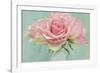 Pink Roses-Cora Niele-Framed Photographic Print