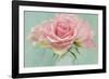 Pink Roses-Cora Niele-Framed Photographic Print