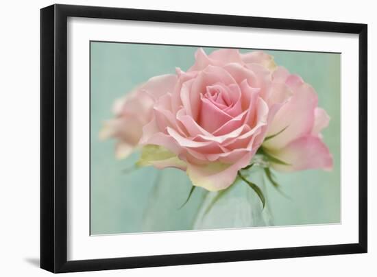 Pink Roses-Cora Niele-Framed Photographic Print