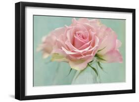 Pink Roses-Cora Niele-Framed Photographic Print