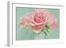 Pink Roses-Cora Niele-Framed Photographic Print