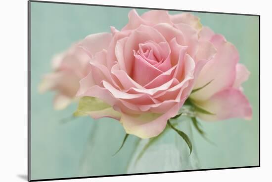 Pink Roses-Cora Niele-Mounted Photographic Print