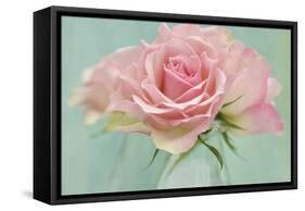 Pink Roses-Cora Niele-Framed Stretched Canvas