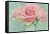 Pink Roses-Cora Niele-Framed Stretched Canvas