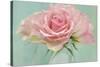 Pink Roses-Cora Niele-Stretched Canvas