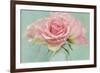 Pink Roses-Cora Niele-Framed Photographic Print