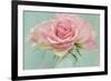 Pink Roses-Cora Niele-Framed Photographic Print