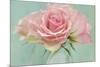 Pink Roses-Cora Niele-Mounted Photographic Print