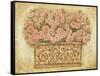 Pink Roses-Eva Misa-Framed Stretched Canvas