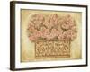 Pink Roses-Eva Misa-Framed Art Print