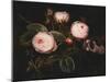 Pink Roses-Johan Laurentz Jensen-Mounted Giclee Print