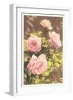 Pink Roses-null-Framed Art Print