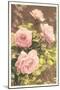 Pink Roses-null-Mounted Art Print
