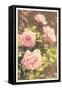 Pink Roses-null-Framed Stretched Canvas