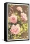 Pink Roses-null-Framed Stretched Canvas