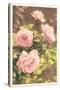 Pink Roses-null-Stretched Canvas