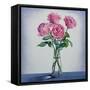 Pink Roses-Christopher Ryland-Framed Stretched Canvas