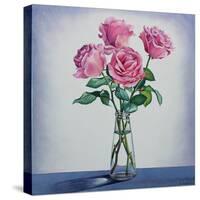 Pink Roses-Christopher Ryland-Stretched Canvas