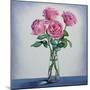 Pink Roses-Christopher Ryland-Mounted Giclee Print