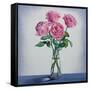 Pink Roses-Christopher Ryland-Framed Stretched Canvas