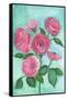 Pink Roses-Elizabeth Rider-Framed Stretched Canvas