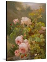 Pink Roses-Alexandre Debrus-Stretched Canvas