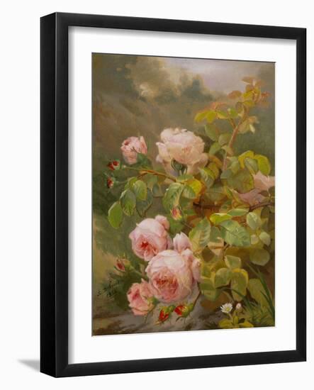 Pink Roses-Alexandre Debrus-Framed Giclee Print