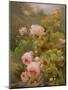 Pink Roses-Alexandre Debrus-Mounted Giclee Print