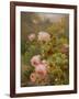 Pink Roses-Alexandre Debrus-Framed Giclee Print