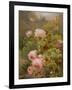 Pink Roses-Alexandre Debrus-Framed Giclee Print