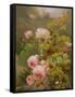 Pink Roses-Alexandre Debrus-Framed Stretched Canvas